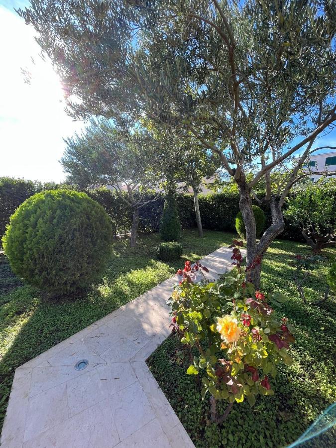 Apartman Stipic 1 Baška Voda Eksteriør bilde