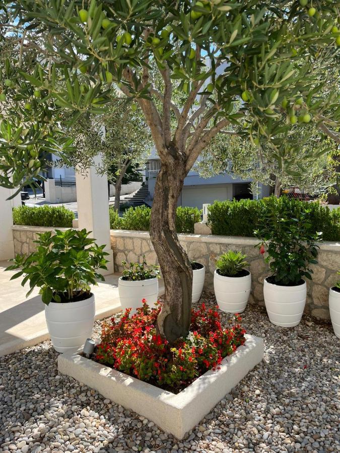Apartman Stipic 1 Baška Voda Eksteriør bilde