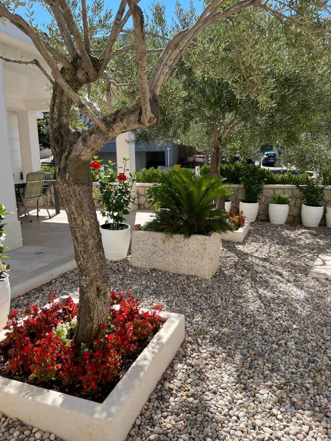 Apartman Stipic 1 Baška Voda Eksteriør bilde